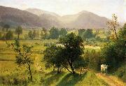 Albert Bierstadt Conway Valley New Hampshire oil painting picture wholesale